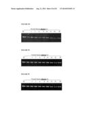 MODULATION OF HSP47 EXPRESSION diagram and image