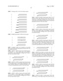 MODULATION OF HSP47 EXPRESSION diagram and image