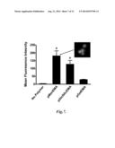 CARBOHYDRATE-BASED COMPOSITIONS AND METHODS FOR TARGETED DRUG DELIVERY diagram and image