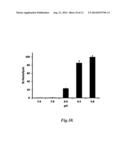 CARBOHYDRATE-BASED COMPOSITIONS AND METHODS FOR TARGETED DRUG DELIVERY diagram and image