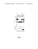 Compositions And Methods For Regulation Of Tumor Necrosis Factor-Alpha diagram and image