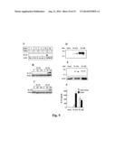 Compositions And Methods For Regulation Of Tumor Necrosis Factor-Alpha diagram and image