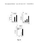 Compositions And Methods For Regulation Of Tumor Necrosis Factor-Alpha diagram and image