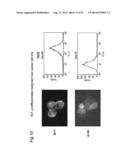 METHOD OF CLASSIFYING ANTIBODY, METHOD OF IDENTIFYING ANTIGEN, METHOD OF     OBTAINING ANTIBODY OR ANTIBODY SET, METHOD OF CONSTRUCTING ANTIBODY PANEL     AND ANTIBODY OR ANTIBODY SET AND USE OF THE SAME diagram and image