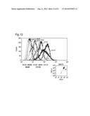 METHOD OF CLASSIFYING ANTIBODY, METHOD OF IDENTIFYING ANTIGEN, METHOD OF     OBTAINING ANTIBODY OR ANTIBODY SET, METHOD OF CONSTRUCTING ANTIBODY PANEL     AND ANTIBODY OR ANTIBODY SET AND USE OF THE SAME diagram and image