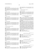 METHOD OF CLASSIFYING ANTIBODY, METHOD OF IDENTIFYING ANTIGEN, METHOD OF     OBTAINING ANTIBODY OR ANTIBODY SET, METHOD OF CONSTRUCTING ANTIBODY PANEL     AND ANTIBODY OR ANTIBODY SET AND USE OF THE SAME diagram and image