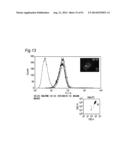 METHOD OF CLASSIFYING ANTIBODY, METHOD OF IDENTIFYING ANTIGEN, METHOD OF     OBTAINING ANTIBODY OR ANTIBODY SET, METHOD OF CONSTRUCTING ANTIBODY PANEL     AND ANTIBODY OR ANTIBODY SET AND USE OF THE SAME diagram and image