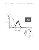 METHOD OF CLASSIFYING ANTIBODY, METHOD OF IDENTIFYING ANTIGEN, METHOD OF     OBTAINING ANTIBODY OR ANTIBODY SET, METHOD OF CONSTRUCTING ANTIBODY PANEL     AND ANTIBODY OR ANTIBODY SET AND USE OF THE SAME diagram and image