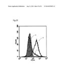 METHOD OF CLASSIFYING ANTIBODY, METHOD OF IDENTIFYING ANTIGEN, METHOD OF     OBTAINING ANTIBODY OR ANTIBODY SET, METHOD OF CONSTRUCTING ANTIBODY PANEL     AND ANTIBODY OR ANTIBODY SET AND USE OF THE SAME diagram and image