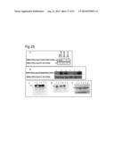 METHOD OF CLASSIFYING ANTIBODY, METHOD OF IDENTIFYING ANTIGEN, METHOD OF     OBTAINING ANTIBODY OR ANTIBODY SET, METHOD OF CONSTRUCTING ANTIBODY PANEL     AND ANTIBODY OR ANTIBODY SET AND USE OF THE SAME diagram and image