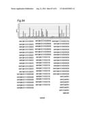 METHOD OF CLASSIFYING ANTIBODY, METHOD OF IDENTIFYING ANTIGEN, METHOD OF     OBTAINING ANTIBODY OR ANTIBODY SET, METHOD OF CONSTRUCTING ANTIBODY PANEL     AND ANTIBODY OR ANTIBODY SET AND USE OF THE SAME diagram and image