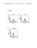 METHOD OF CLASSIFYING ANTIBODY, METHOD OF IDENTIFYING ANTIGEN, METHOD OF     OBTAINING ANTIBODY OR ANTIBODY SET, METHOD OF CONSTRUCTING ANTIBODY PANEL     AND ANTIBODY OR ANTIBODY SET AND USE OF THE SAME diagram and image