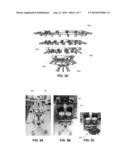 INTERFACING SYSTEMS, DEVICES, AND METHODS FOR OPTICAL IMAGING diagram and image