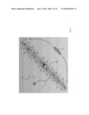 NECKLACE-SHAPED PHYSIOLOGICAL MONITOR diagram and image