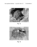 NESTING MATERIAL BALING AND DISPENSING SYSTEM FOR MOUSE ENVIRONMENTAL     ENRICHMENT diagram and image