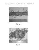 NESTING MATERIAL BALING AND DISPENSING SYSTEM FOR MOUSE ENVIRONMENTAL     ENRICHMENT diagram and image