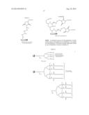 IMMOBILIZATION OF ANTIMICROBIAL POLYMERS ON RO MEMBRANE TO REDUCE BIOFILM     GROWTH AND BIOFOULING diagram and image