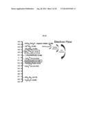 RAPID BIOLOGICAL SYNTHESIS PROCESS TO PRODUCE SEMICONDUCTING CHALCOGENIDE     NANOSTRUCTURES FOR TRANSISTOR OR SOLAR CELL APPLICATIONS diagram and image