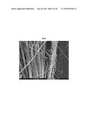 RAPID BIOLOGICAL SYNTHESIS PROCESS TO PRODUCE SEMICONDUCTING CHALCOGENIDE     NANOSTRUCTURES FOR TRANSISTOR OR SOLAR CELL APPLICATIONS diagram and image