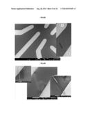 RAPID BIOLOGICAL SYNTHESIS PROCESS TO PRODUCE SEMICONDUCTING CHALCOGENIDE     NANOSTRUCTURES FOR TRANSISTOR OR SOLAR CELL APPLICATIONS diagram and image