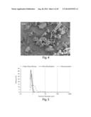 INHALABLE PHARMACEUTICAL COMPOSITIONS diagram and image