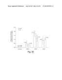 INHALABLE PHARMACEUTICAL COMPOSITIONS diagram and image