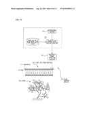 LIGHT EMITTING APPARATUS, AND LIGHT IRRADIATION APPARATUS PROVIDED WITH     LIGHT EMITTING APPARATUS diagram and image