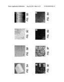 Apparatus and Method for Capturing a Vital Vascular Fingerprint diagram and image