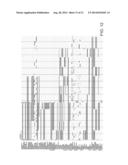 SYSTEM FOR GENERATING MOTION IMAGES OF FEATURE SETS OF PERTURBATIONS OF     BIOLOGIC PARTICLE DENSITIES diagram and image