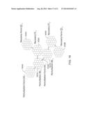 SYSTEM FOR GENERATING MOTION IMAGES OF FEATURE SETS OF PERTURBATIONS OF     BIOLOGIC PARTICLE DENSITIES diagram and image