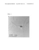 CARBON NANOFIBERS ENCAPSULATING METAL COBALT, AND PRODUCTION METHOD     THEREFOR diagram and image