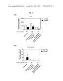 CHIMERIC NON-HUMAN ANIMAL CARRYING HUMAN HEPATOCYTE diagram and image