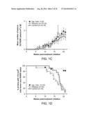 METHODS FOR TREATING UV-DAMAGED SKIN AND SCC TUMORS AND FOR REMOVING     TATTOOS WITH TOPICAL INGENOL MEBUTATE diagram and image