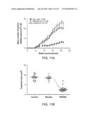 METHODS FOR TREATING UV-DAMAGED SKIN AND SCC TUMORS AND FOR REMOVING     TATTOOS WITH TOPICAL INGENOL MEBUTATE diagram and image