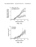 METHODS FOR TREATING UV-DAMAGED SKIN AND SCC TUMORS AND FOR REMOVING     TATTOOS WITH TOPICAL INGENOL MEBUTATE diagram and image