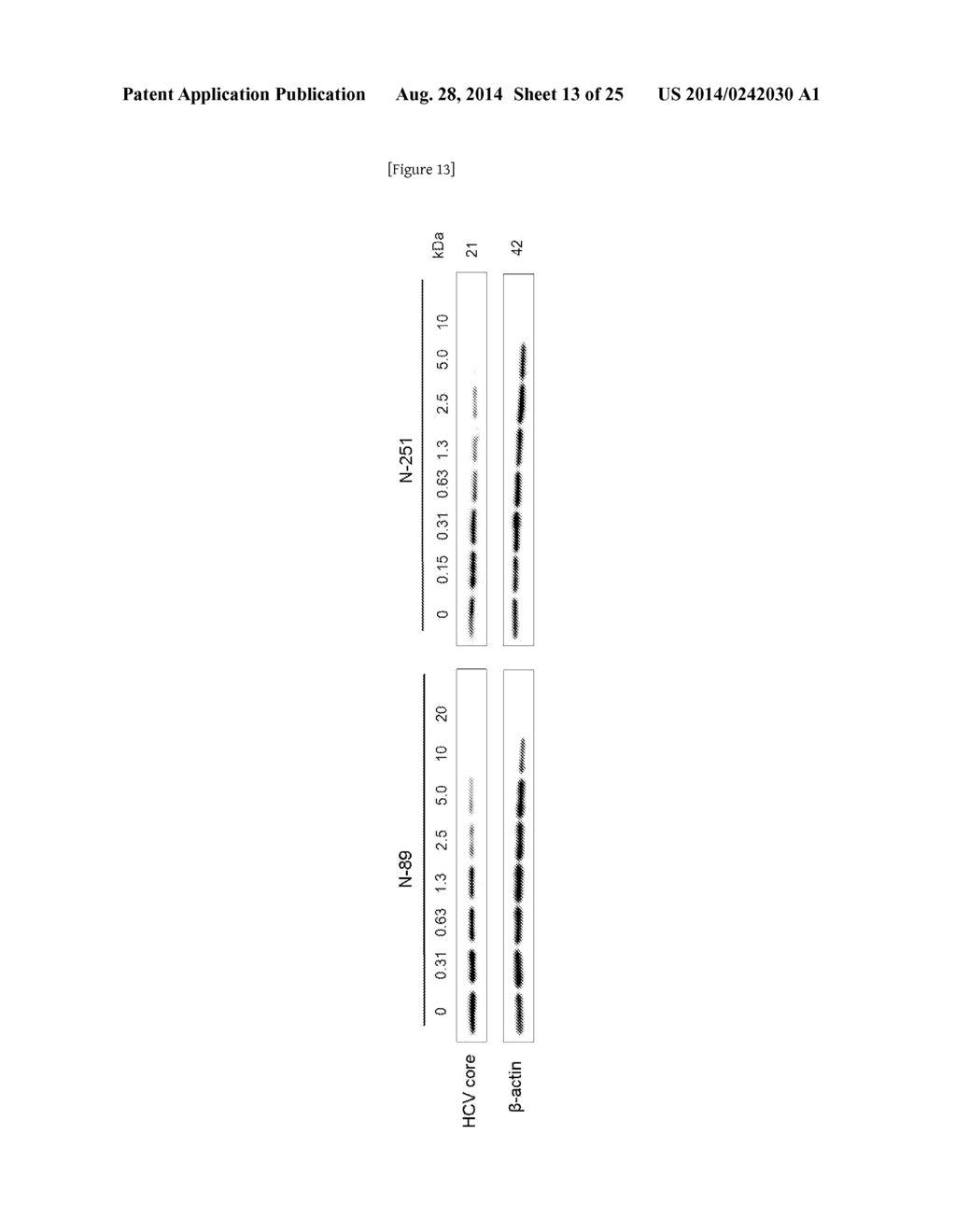 NOVEL ANTI-HCV AGENT - diagram, schematic, and image 14