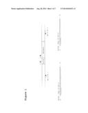 Modified Bacteriophage Including an Alpha/Beta Small Acid-Soluble Spore     Protein (SASP) Gene diagram and image