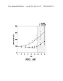 FRIZZLED 2 AS A TARGET FOR THERAPEUTIC ANTIBODIES IN THE TREATMENT OF     CANCER diagram and image