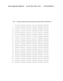 COMBINATION THERAPY FOR THE TREATMENT OF OCULAR NEOVASCULAR DISORDERS diagram and image