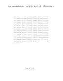 COMBINATION THERAPY FOR THE TREATMENT OF OCULAR NEOVASCULAR DISORDERS diagram and image