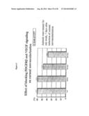 COMBINATION THERAPY FOR THE TREATMENT OF OCULAR NEOVASCULAR DISORDERS diagram and image