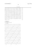 COMBINATION THERAPY FOR THE TREATMENT OF OCULAR NEOVASCULAR DISORDERS diagram and image