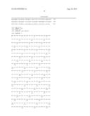 COMBINATION THERAPY FOR THE TREATMENT OF OCULAR NEOVASCULAR DISORDERS diagram and image