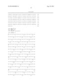 COMBINATION THERAPY FOR THE TREATMENT OF OCULAR NEOVASCULAR DISORDERS diagram and image