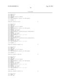 COMBINATION THERAPY FOR THE TREATMENT OF OCULAR NEOVASCULAR DISORDERS diagram and image