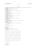 COMBINATION THERAPY FOR THE TREATMENT OF OCULAR NEOVASCULAR DISORDERS diagram and image