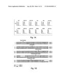 METHODS RELATED TO TIM 3, A TH1-SPECIFIC CELL SURFACE MOLECULE, FOR     ACTIVATING ANTIGEN PRESENTING CELLS diagram and image