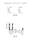 METHODS RELATED TO TIM 3, A TH1-SPECIFIC CELL SURFACE MOLECULE, FOR     ACTIVATING ANTIGEN PRESENTING CELLS diagram and image