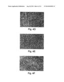 METHODS RELATED TO TIM 3, A TH1-SPECIFIC CELL SURFACE MOLECULE, FOR     ACTIVATING ANTIGEN PRESENTING CELLS diagram and image