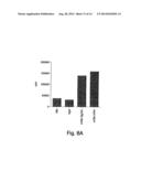 METHODS RELATED TO TIM 3, A TH1-SPECIFIC CELL SURFACE MOLECULE, FOR     ACTIVATING ANTIGEN PRESENTING CELLS diagram and image